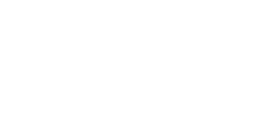 Australia India Chamber of Commerce
